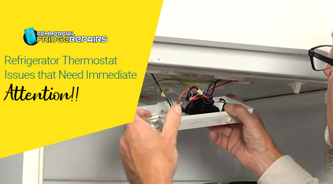 Refrigerator Thermostat Issues that Need Immediate Attention!!