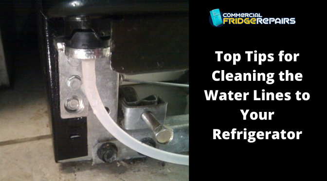 How to clean a fridge water dispenser