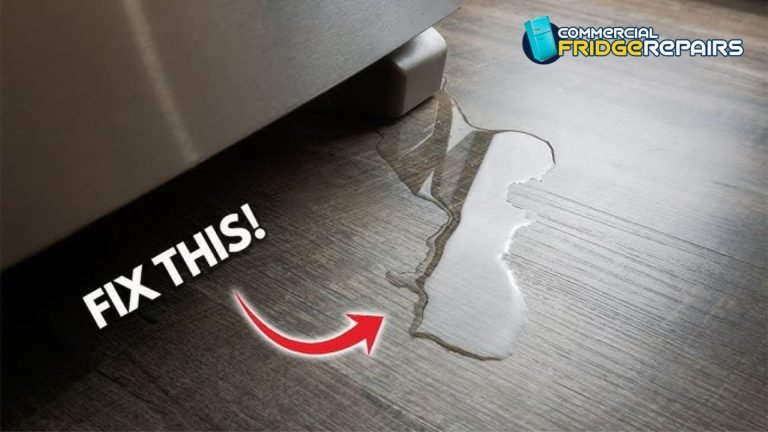 Leaking Refrigerator
