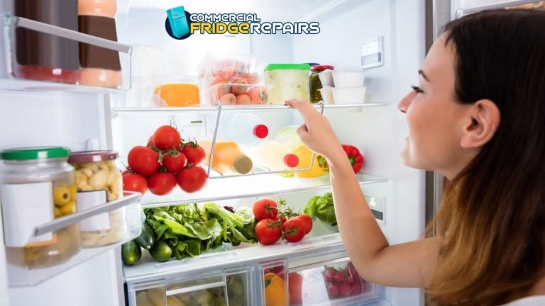same-Day Fridge Repair