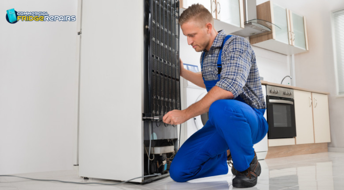 Fridge Repairs Sydney