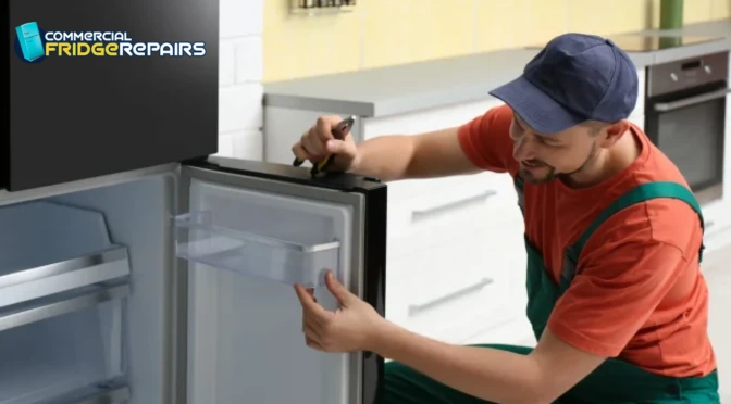 Fridge Repair
